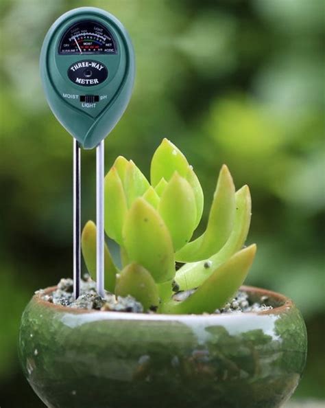 custom moisture meter succulant guide|moisture meter for succulent cactus.